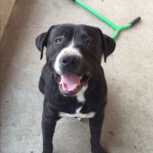 Meet your Posher, Alexis